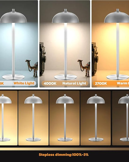 Rechargeable Cordless Table Lamp 2 Pack - 5000mAh Battery Powered Lamp, 3 Color Stepless Dimming LED Table Light with Memory Function for Indoor, Outdoor, Dinner, Patio, Cafe.(Silver) - LeafyLoom