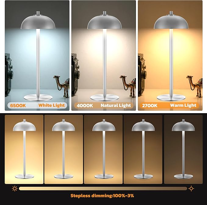 Rechargeable Cordless Table Lamp 2 Pack - 5000mAh Battery Powered Lamp, 3 Color Stepless Dimming LED Table Light with Memory Function for Indoor, Outdoor, Dinner, Patio, Cafe.(Silver) - LeafyLoom