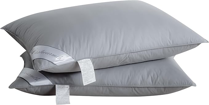 Grey Goose Feather Down Pillow for Back, Stomach or Side Sleepers 2 Pack,100% Cotton Cover Queen Size (20X30IN) Grey - LeafyLoom