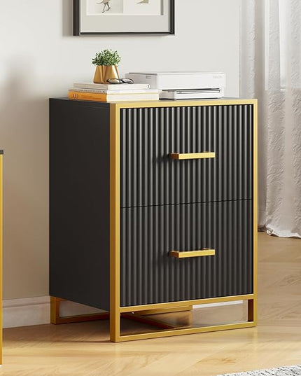 YITAHOME 2 Drawer File Cabinet, Lateral Filing Cabinet for Home Office, Black and Gold - LeafyLoom