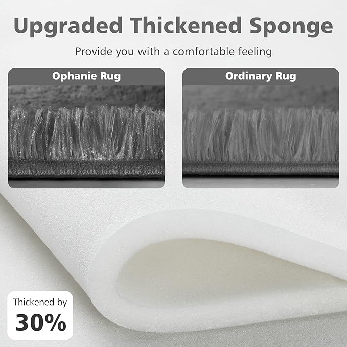 Ophanie Small Area Rug, 2x3 Machine Washable Throw Grey Cheap Fluffy Shaggy Soft Bedside Rug, Indoor Floor Gray Carpet for Kids Baby Boys Teen Dorm Room Doorway, Nursery,Home Decor Aesthetic - LeafyLoom