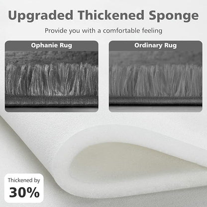 Ophanie Small Area Rug, 2x3 Machine Washable Throw Grey Cheap Fluffy Shaggy Soft Bedside Rug, Indoor Floor Gray Carpet for Kids Baby Boys Teen Dorm Room Doorway, Nursery,Home Decor Aesthetic - LeafyLoom
