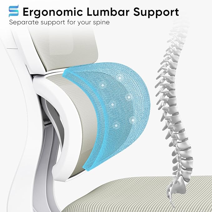 Sytas Ergonomic Office Chair, High Back Computer Desk Chair with Lumbar Support and Adjustable Headrest, Executive Swivel Chair for Home Office, Tilt Function - LeafyLoom