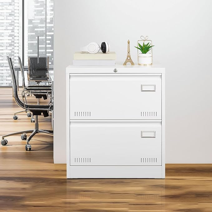 2 Drawer Lateral Lock and Card Holder, Multifunctional Metal Filing Cabinets w/Heavy 3 Section Slide Rail & Breathable Holes,for Legal/Letter/A4,White - LeafyLoom