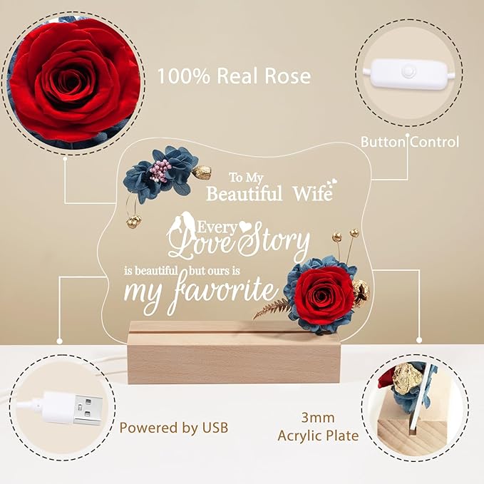 Valentines Day Gifts for Her, Handmade Acrylic Plaque with Eternal Real Rose, Night Light with Preserved Rose Romantic Gifts for Girlfriend Wife Women (Favorite Love Story) - LeafyLoom