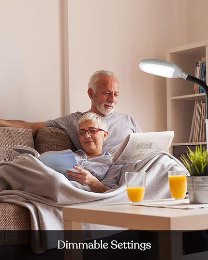 Brightech Litespan Titanium Silver LED Floor Reading Lamp, Energy Efficient, Adjustable Standing, 850-950 Lumens, 12W, 3-Year Warranty - LeafyLoom