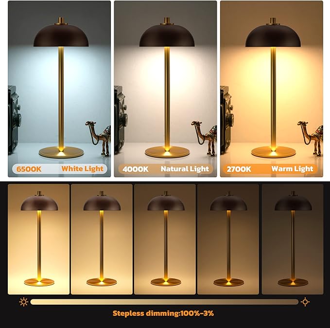2 Pack LED Cordless Table Lamp Rechargeable,5000mAh Battery Operated Table Lamp, 3 Color Stepless Dimming Metal Table Light with Memory Function for Outdoor, Dinner, Patio, Home.(Brown) - LeafyLoom