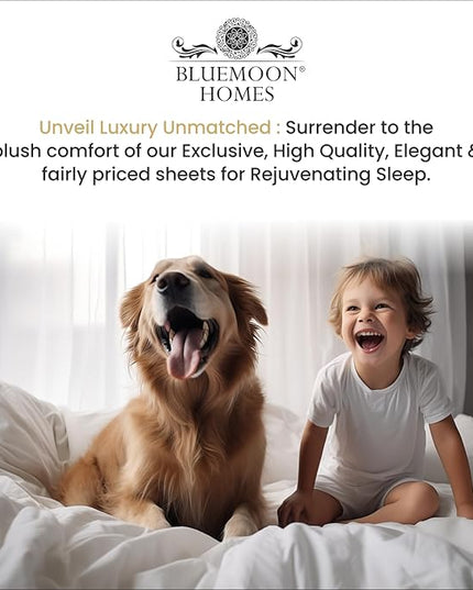 Egyptian Cotton Sheets Luxury 1000 Thread Count, Soft 100% Cotton Sheets for King Size Bed, 5-Star Hotel Quality, 4 Pc Sky Blue King Bed Sheets Set with Elasticized Deep Pocket King Sheets - LeafyLoom