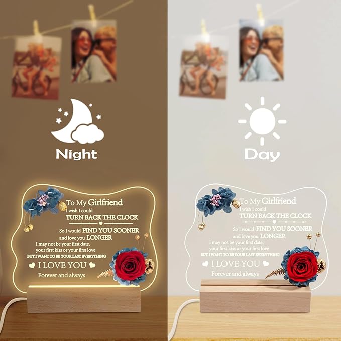 Yamonic Valentines Day Gifts for Her, Handmade Acrylic Plaque with Eternal Real Rose, Night Light with Preserved Rose Romantic Gifts for Girlfriend Wife Women (to My Girlfriend) - LeafyLoom