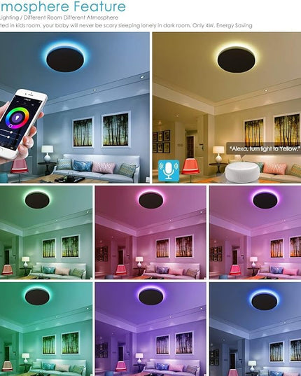 TALOYA Smart Ceiling Light Fixture 10 Inch Flush Mount Led with RGB Night Light, Compatible with Alexa Google Assistant, 2.4G WiFi Ceiling Mount Lamp for Kids’ Room Taloya