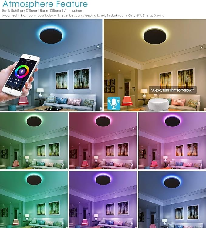 TALOYA Smart Ceiling Light Fixture 10 Inch Flush Mount Led with RGB Night Light, Compatible with Alexa Google Assistant, 2.4G WiFi Ceiling Mount Lamp for Kids’ Room Taloya
