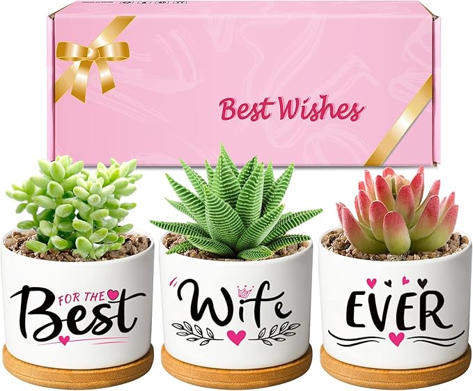 for Wife, Mothers Day Wife Gifts from Husband or Kids, Romantic Wife Gifts Birthday Gifts for Wife, Anniversary Wife Gifts Pretty Best Wife Ever Gifts - LeafyLoom