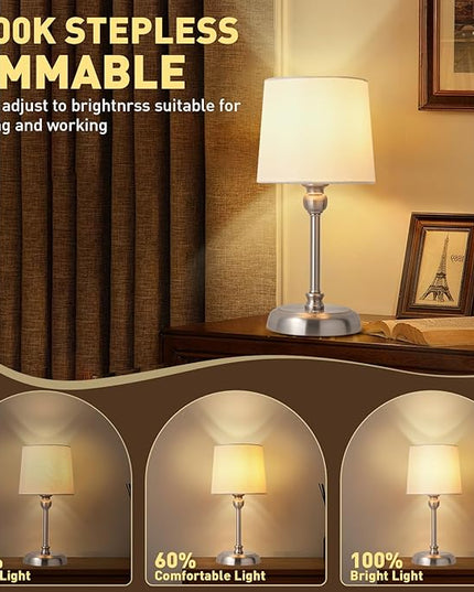 Cordless LED Table Lamp, 6000mAh Rechargeable Bedside Night Lamp for Bedroom, Portable Touch Stepless Dimmable Battery Operated Lamp, Ambient Light for Patio Restaurant(Brushed Nickel S) - LeafyLoom