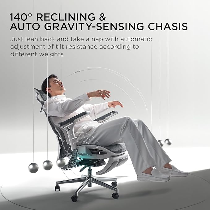 Hbada E3 Ergonomic Office Chair, Big and Tall Office Chair - with 3-Zone Dynamic Lumbar Support, 4D Adjustable Headrest, 6D Adjustable Armrests, Swivel Computer Chair for Home Office, Grey - LeafyLoom