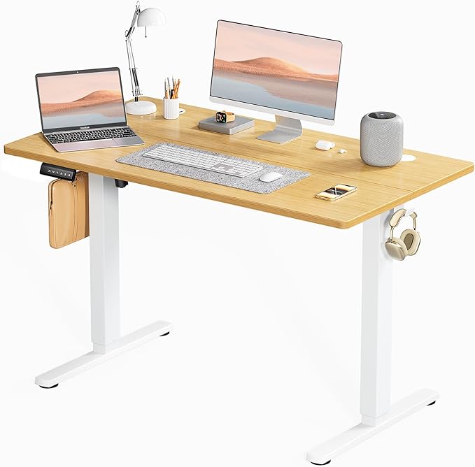 SMUG Standing Desk, Adjustable Height Electric Sit Stand Up Down Computer Table, 48x24 Inch Ergonomic Rising Desks for Work Office Home, Modern Lift Motorized Gaming Desktop Workstation, Natural - LeafyLoom
