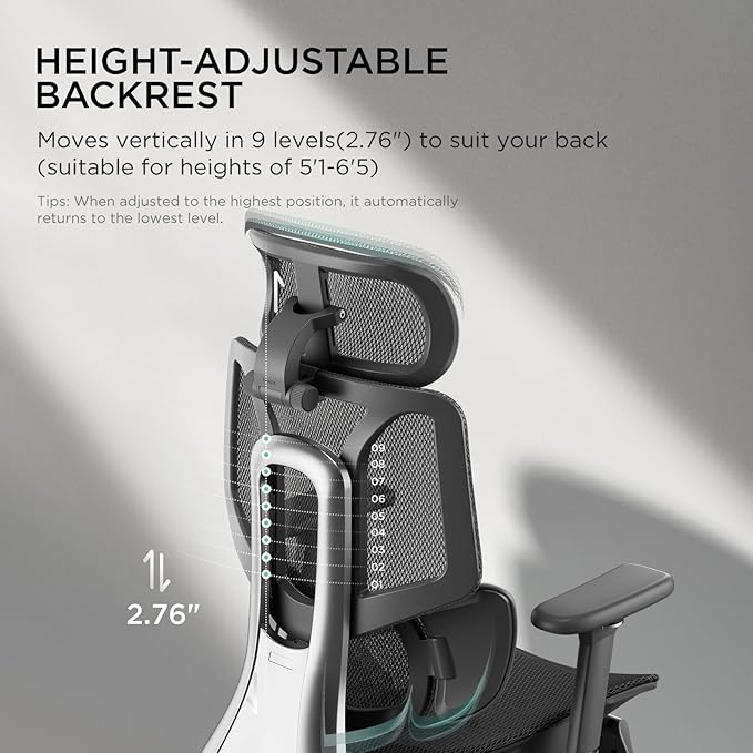 Hbada E3 Ergonomic Office Chair, Big and Tall Office Chair - with 3-Zone Dynamic Lumbar Support, 3D Adjustable Headrest, 3D Adjustable Armrests, Swivel Computer Chair, Black(No Footrest) - LeafyLoom