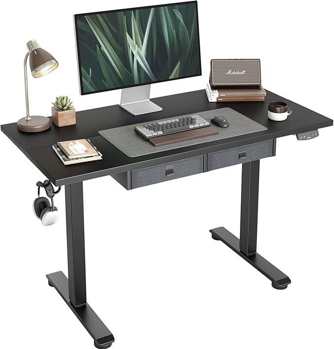Standing Desk with 2 Drawers, Adjustable Height Electric Desk with Storage, 48 x 24 Inches Sit Stand Up Computer Table for Work Office Home, Black - LeafyLoom