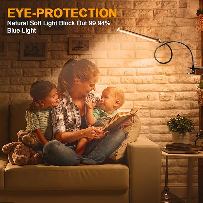 Desk Lamp for Office Home, 5W USB Amber LED Clip on Light, Flexible Gooseneck Clamp Light, 5 Brightness Levels, 4/8/12/18H Auto Timer, Eye-Caring Desk Light for Bedside Office,1600K Color (Metal) - LeafyLoom
