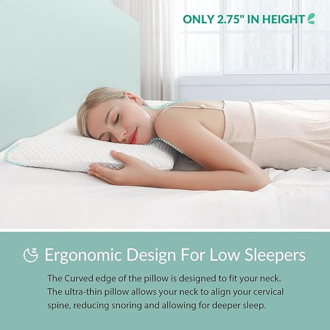 AM AEROMAX 2.75 Inches Queen Size Hyper Slim Memory Foam Pillow for Stomach and Back Sleepers - Thin, Flat Design for Cervical Neck Alignment and Deeper Sleep. - LeafyLoom
