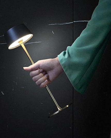 DAWALIGHT Cordless Lamp 4000mAh Rechargeable tbale lamp LED Desk Lamp Tempered Glass Stepless Dimming Black and Gold Battery Operated Portable Cordless 2700K Gold Base - LeafyLoom