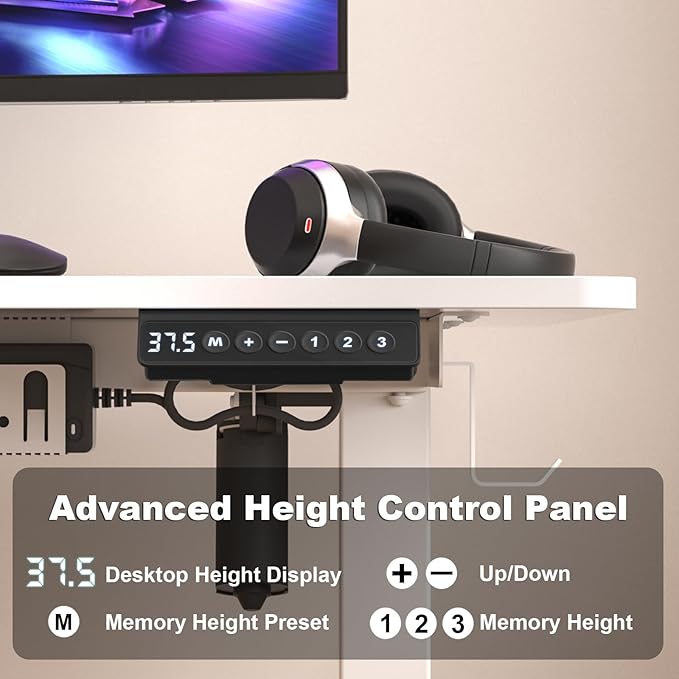 Electric Standing Desk Height Adjustable - 40 x 24 Inches Sit Stand up Desk & Memory Preset Ergonomic Rising Desks for Work, Home Office Workstation Gaming Rising Desk Study Table - LeafyLoom