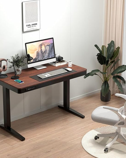 Standing Desk with Drawer and Wireless Charging,48x24 inch Dual Motor Electric Standing Desk,Stand Up Desk with Whole-Piece Desktop(Black Oval Legs+Rustic Brown Top) - LeafyLoom