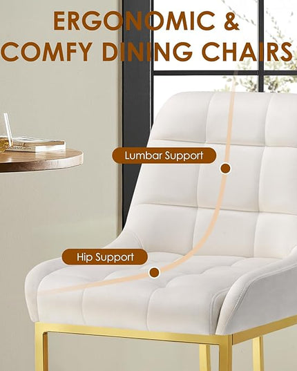 STARY Upholstered Velvet Armless Dining Room Chairs with Gold Metal Legs for Kitchen Restaurant, Beige- Set of 4 - LeafyLoom