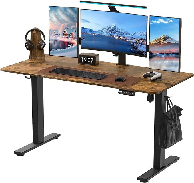 Electric Standing Desk Height Adjustable - 55 x 24 Inches Sit Stand up Desk & Memory Preset Ergonomic Rising Desks for Work, Home Office Workstation Gaming Rising Desk Study Table - LeafyLoom