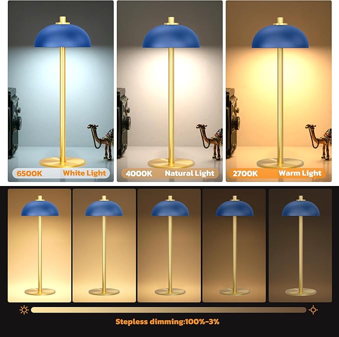 2 Pack Cordless Table Lamp, 5000mAh Portable Rechargeable Table Lamp, 3 Color Modes Stepless Dimming Table Light with Memory Function, for Dinner, Patio, Home, Restaurant.(Blue) - LeafyLoom