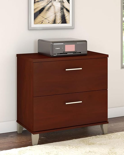 Bush Furniture Somerset 2 Drawer Lateral File Cabinet | Letter, Legal, and A4-size Document Storage for Home Office, 30W x 17D x 29H, Hansen Cherry - LeafyLoom