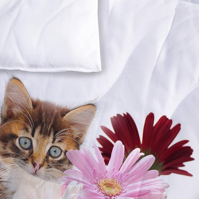 Cat Comforter Set Twin Size for Kids Pink Flowers Cats 3Pcs Bedding Set for boys and Girls (1Summer Comforter+ 2 Pillowcases) Lovely Animal Pets Duvet Set - LeafyLoom