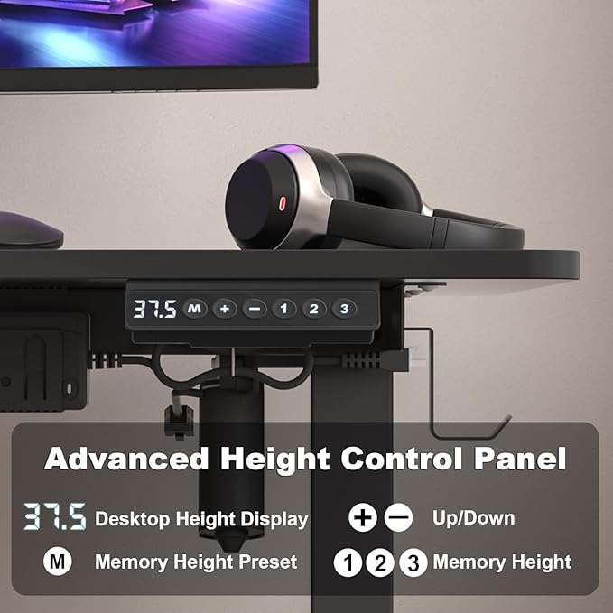 Electric Standing Desk Height Adjustable - 40 x 24 Inches Sit Stand up Desk & Memory Preset Ergonomic Rising Desks for Work, Home Office Workstation Gaming Rising Desk Study Table - LeafyLoom