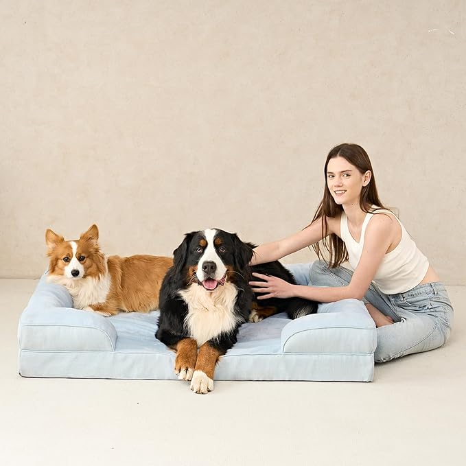 EHEYCIGA Orthopedic Dog Bed for Large Dogs, Waterproof Memory Foam with Sides, Non-Slip Bottom and Egg-Crate Foam Couch Bed with Washable Removable Cover, Light Blue EHEYCIGA