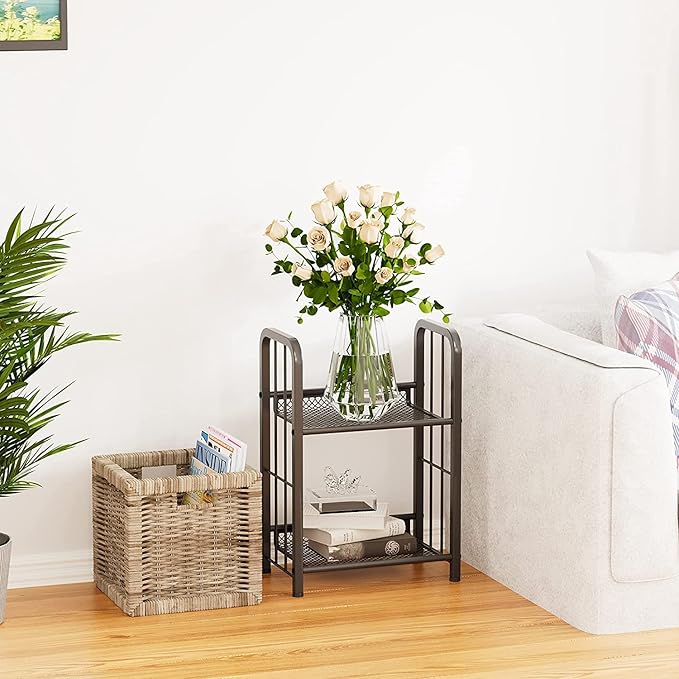 Bookshelf Storage Shelf Bookcase Freestanding Storage Stand for Living Room, Bedroom, Kitchen, Rust Resistance, Easy Assembly Free Combination Multi-Functional Organizer (2 Tiers, Black) - LeafyLoom