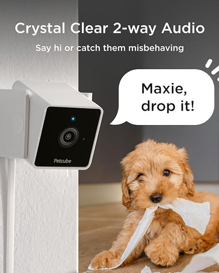 Petcube Cam The Pack of 2 | Indoor Wi-Fi Pet Security Camera with Phone App, 2-Way Audio and Video, Night Vision, 1080p HD Video and Smart Alerts Petcube