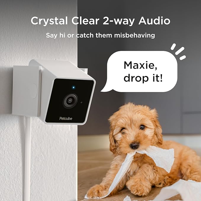 Petcube Cam The Pack of 2 | Indoor Wi-Fi Pet Security Camera with Phone App, 2-Way Audio and Video, Night Vision, 1080p HD Video and Smart Alerts Petcube
