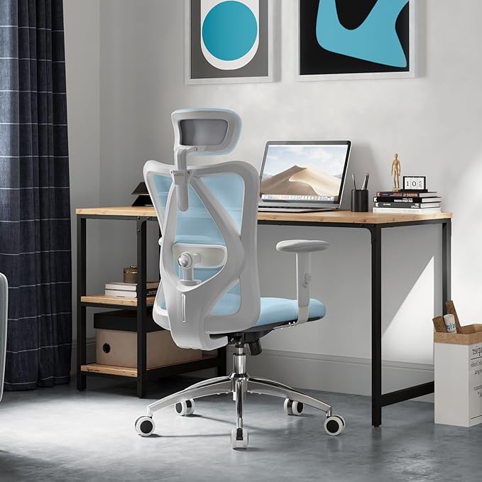 SIHOO M18 Ergonomic Office Chair, Computer Desk Chair with Adjustable Headrest and Lumbar Support, High Back Executive Swivel Chair for Home Office (Light Blue) - LeafyLoom