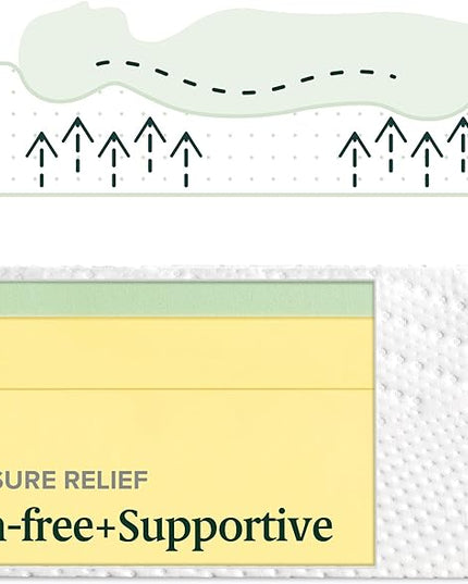 ZINUS 12 Inch Green Tea Essential Memory Foam Mattress, Full, Mattress in A Box, Affordable Mattress, CertiPUR-US Certified - LeafyLoom