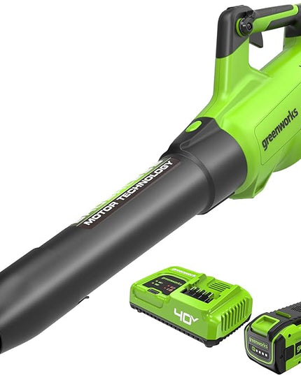 Greenworks 40V (160 MPH / 700 CFM) Cordless Brushless Axial Leaf Blower, 8.0Ah Battery and Charger Included - LeafyLoom