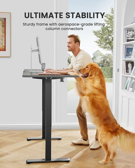 ErGear Height Adjustable Electric Standing Desk, 44 x 24 Inches Small Sit Stand up Desk, Memory Computer Home Office Desk (Grey) - LeafyLoom