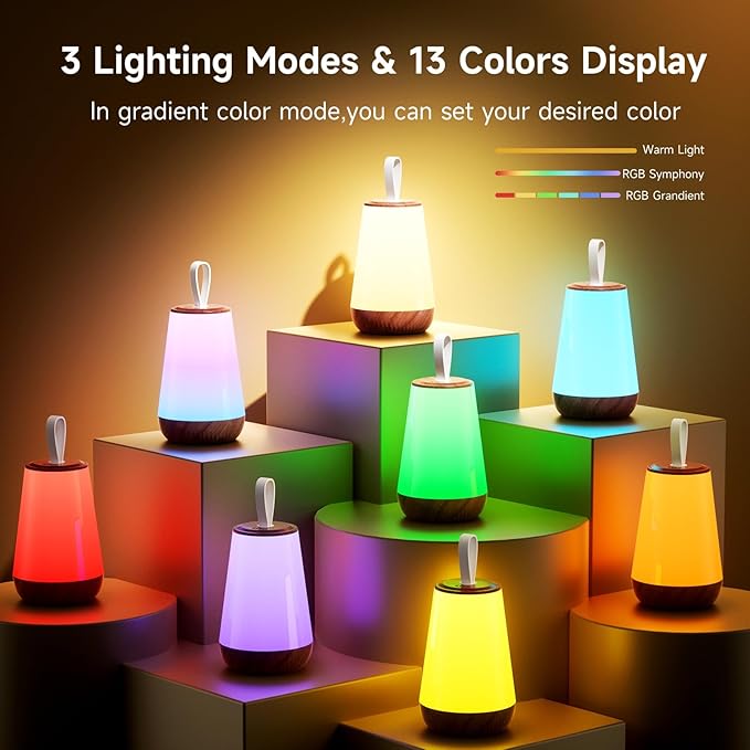 Dimmable Night Light Touch Lamp for Bedroom Rechargeable Remote Bedside Lamp Portable Hanging Table Lamp Changeable Warm White Light Perfect Toy Gift for Kids Adults - LeafyLoom