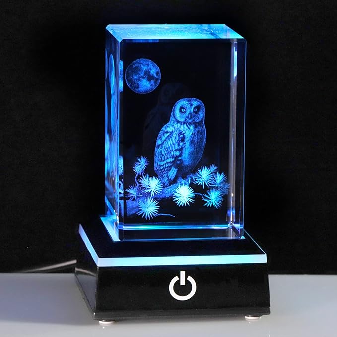 Qianwei Owl Gifts for Women Girls Home Decorations, 3D Crystal Owl Figurines Stuff Gifts for Owl Lovers Mom kids Men Her Statue Paperweight Birthday for Best Friend Kids, Keepsake&Paperweight - LeafyLoom