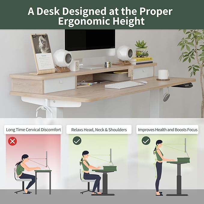 FEZIBO 55 x 24 Inch Height Adjustable Electric Standing Desk with Double Drawer, Stand Up Desk with Storage Shelf, Sit Stand Desk, Maple - LeafyLoom