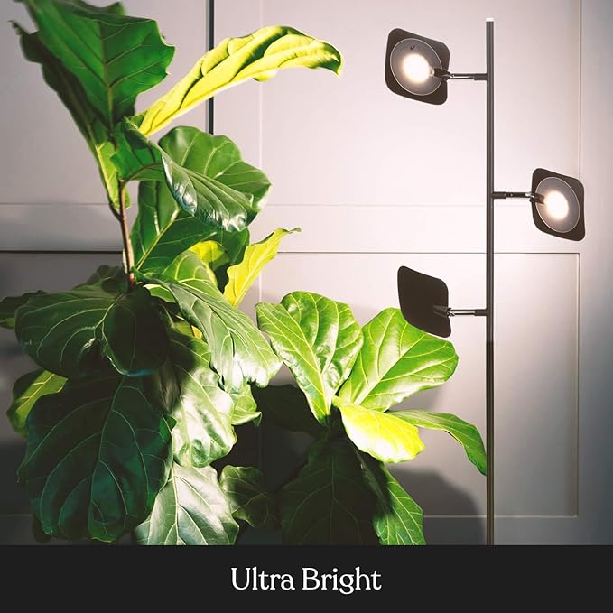 Brightech Tree Floor Lamp for Living Rooms & Offices, Dimmable Standing Lamp for Bedroom Reading, LED Spotlight Floor Lamp, Tall Lamp with Adjustable Panels for Minimal Space Use - Bronze - LeafyLoom