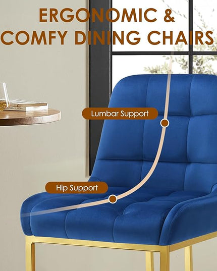 STARY Upholstered Velvet Armless Dining Room Chairs with Gold Metal Legs for Kitchen Restaurant, Blue- Set of 4 - LeafyLoom