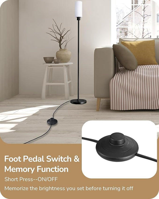 EDISHINE LED Corner Floor Lamp with Glass Lampshade, Modern Dimmable Reading Light with Remote, 65" Standing Tall Lamp for Living Room, Bedroom, Office, Bulb Included (Black) - LeafyLoom