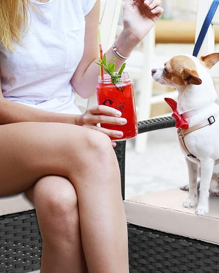 3 Pieces Patio Furniture Set, Balcony Furniture, Patio Bistro Set All-Weather Wicker Chairs Conversation Set with Cushions Table for Outdoor Backyard Porch Lawn (Black-Grey) - LeafyLoom