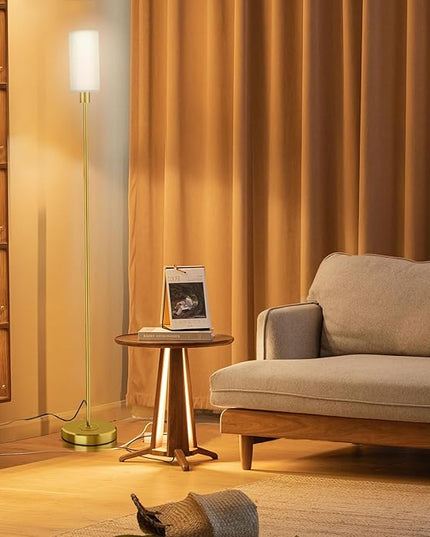 Floor Lamp for Living Room with 3 Color Temperature LED Bulb, Modern Standing Lamp with Remote Control, 68" Tall Pole Floor Lamp for Office, Bedroom, Reading (Bulb Included) - LeafyLoom