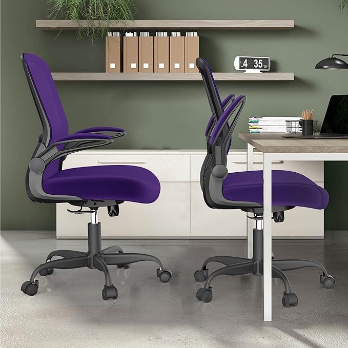 Office Chair, Ergonomic Desk Chair with Adjustable Lumbar Support, High Back Mesh Computer Chair with Flip-up Armrests-BIFMA Passed Task Chairs, Executive Chair for Home Office - LeafyLoom