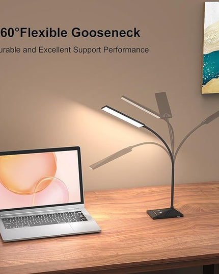 RAOYI LED Desk Lamp, 12W Dimmable Table Lamp Eye-Caring Reading Light with USB Charging Port, Touch Control, 5 Lighting Modes and 6-Level Brightness for Home Office Bedrooms (Black) - LeafyLoom